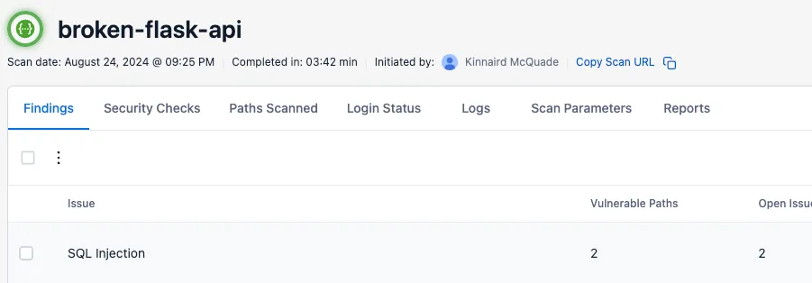 The scan details page contains an overview of the security issues discovered in the scan.